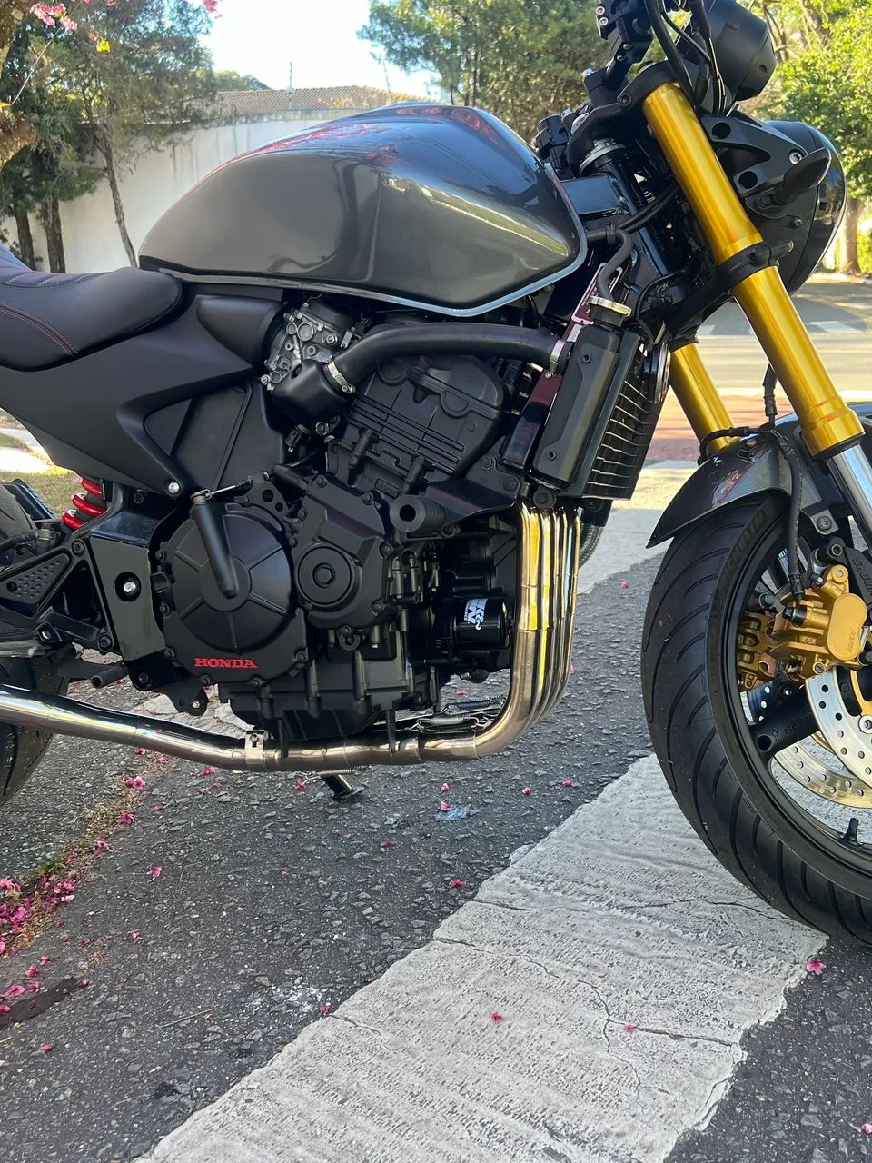 Honda Hornet CB600f - Foto 3
