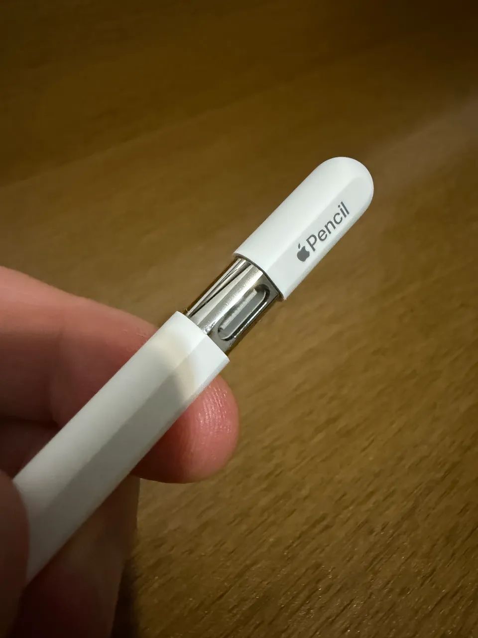 Apple Pencil USB-C Original Apple | Pouco Uso | Excelente Estado