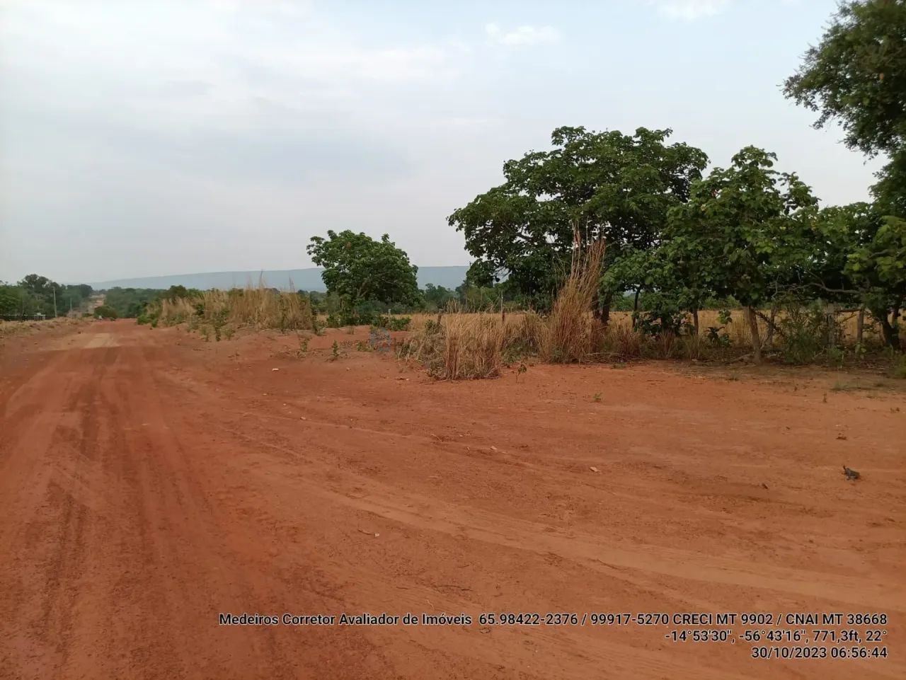 Sitio com 46 hectares com 20 cabeças de gado. - Foto 3