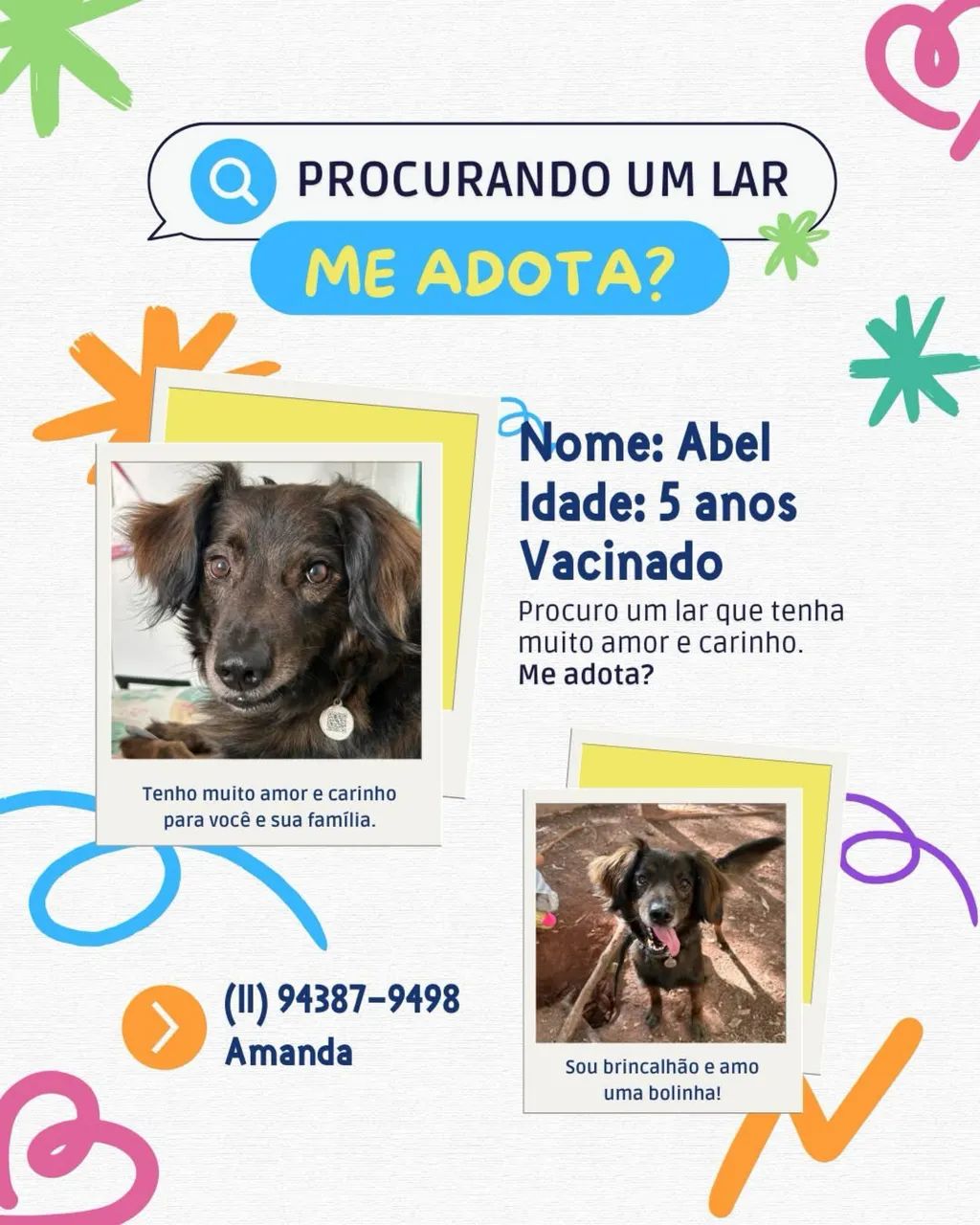 ADOÇÃO RESPONSÁVEL  - Foto 4