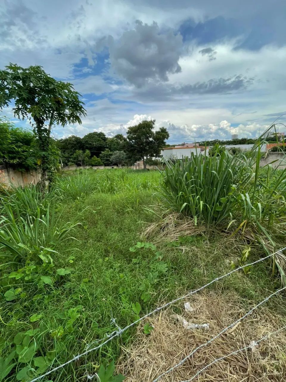 Terreno a venda no bairro Santa Marta! codigo: 370667 - Foto 3