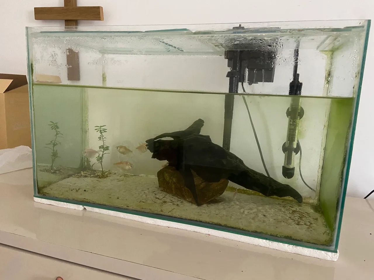 Aquario de 50l completo - Foto 2