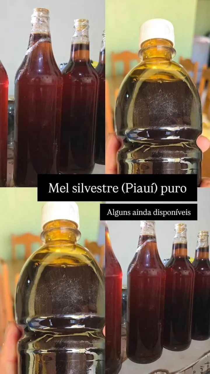 Mel Silvestre - Piauí - Foto 4