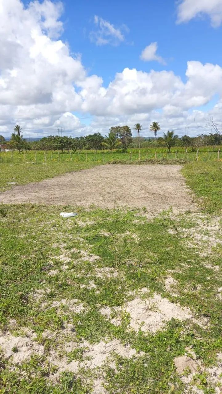 Terreno 