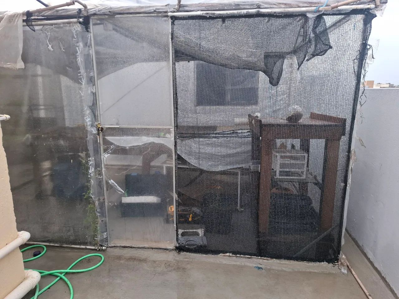 Estufa Agrícola  - Foto 3