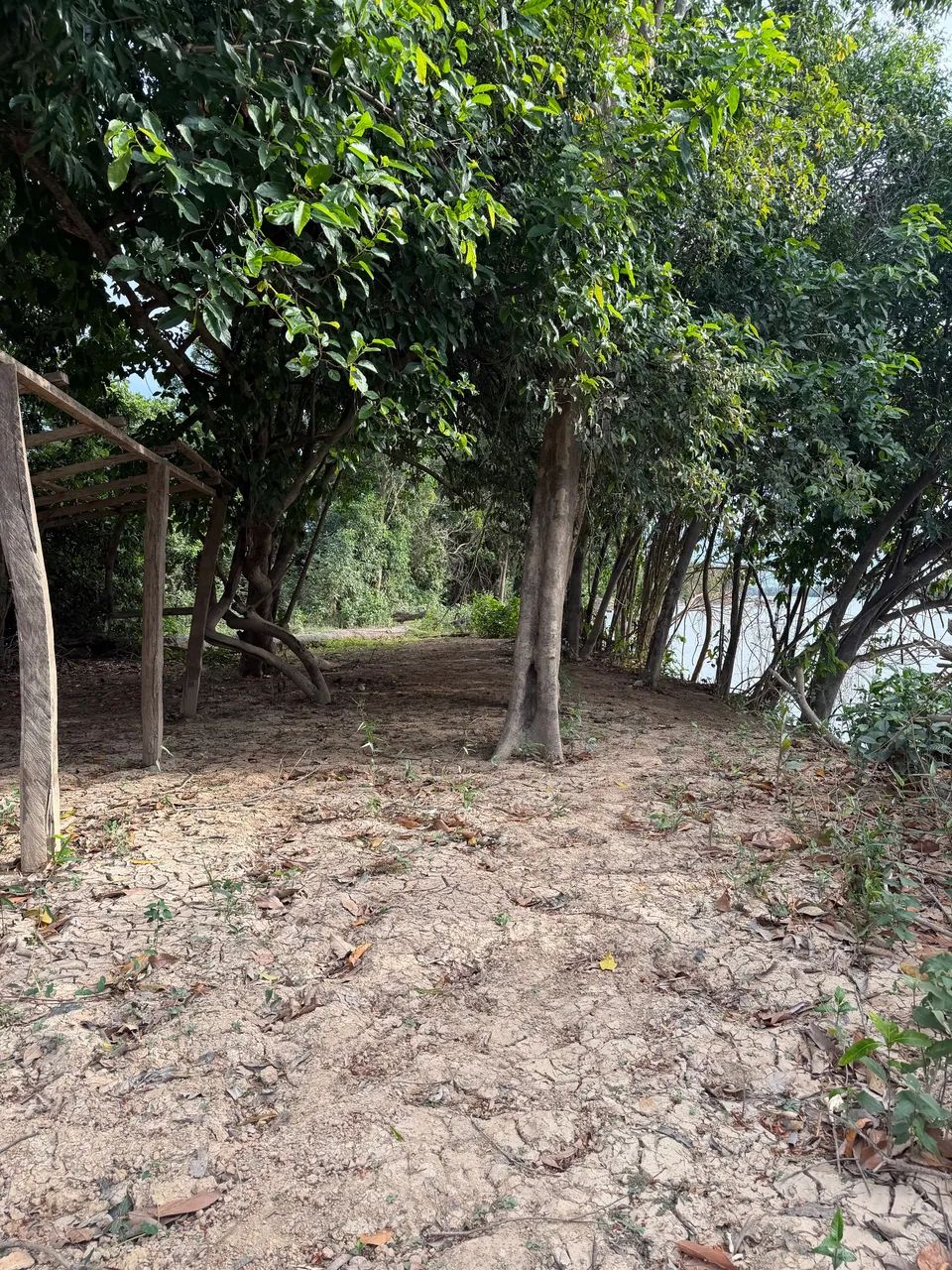 Sitio no Cantá de fundo pro Rio Branco - Foto 4