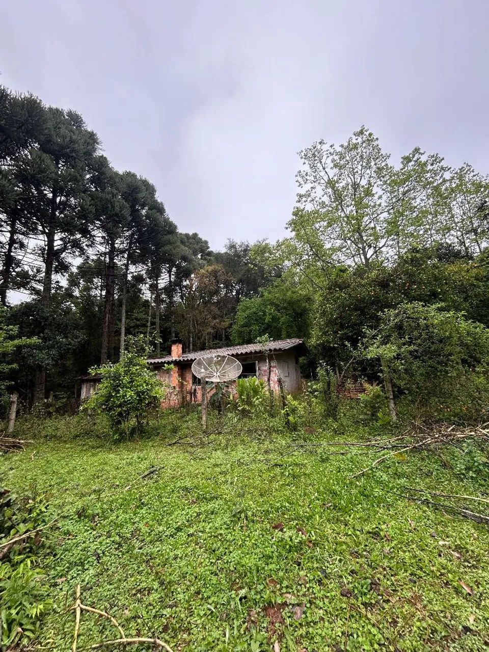 Venda terreno 30.000 - Foto 4