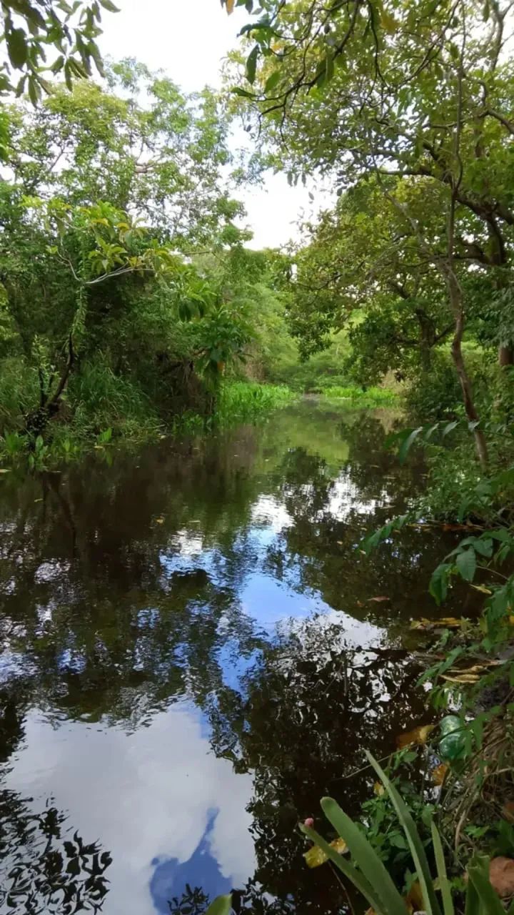 Vendo Terreno Pindoretama 20x36 720 m2