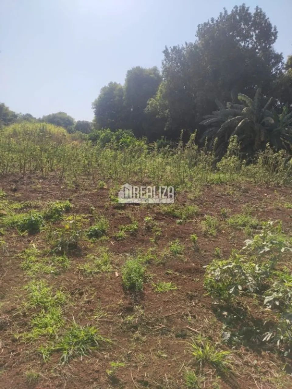 Chácara à venda próximo à Delta: seu refúgio rural na cidade - Foto 3