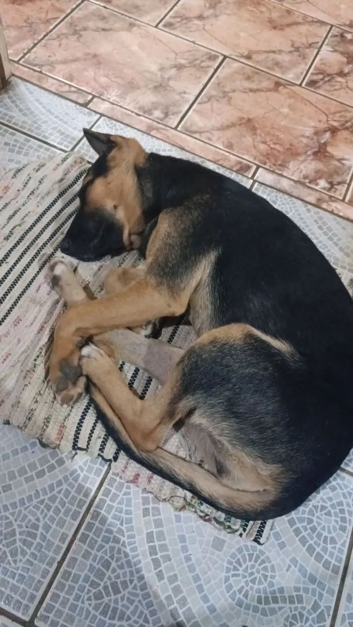 Doação  - Foto 2
