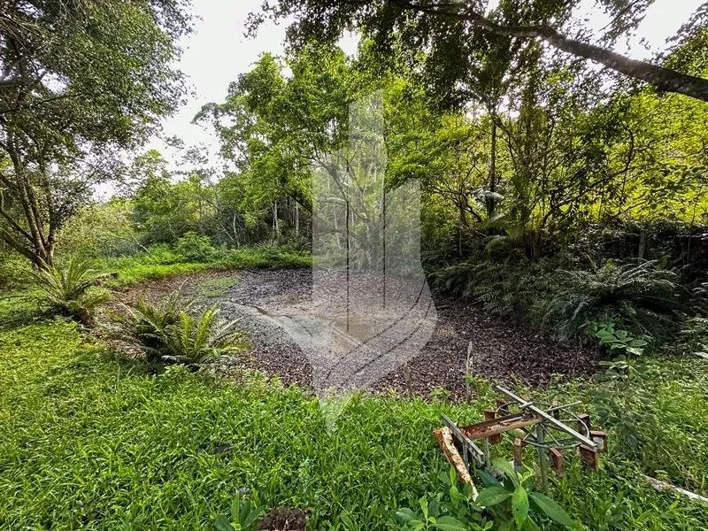 Chácara com cachoeira em Indaial - SC - Foto 8