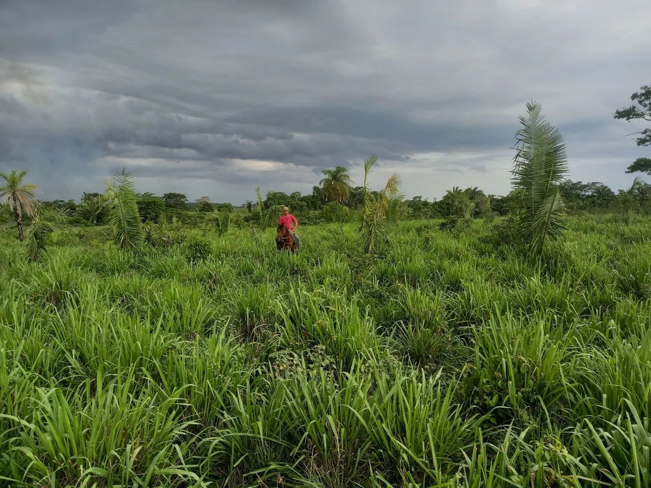 Fazenda São Cristóvão 02 - Foto 4
