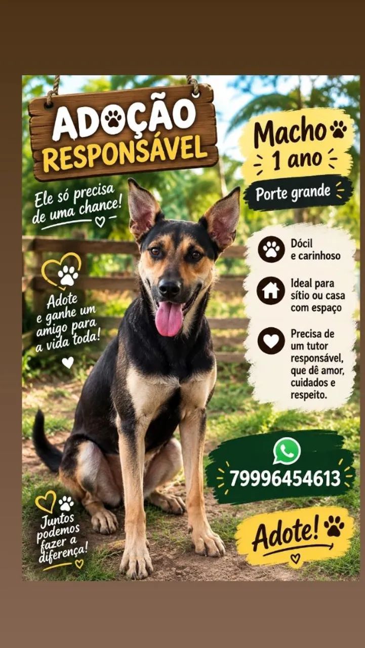 Adoção responsável 