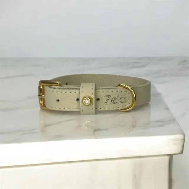 RAMO EM ACESSÓRIOS PET - OPORTUNIDADE COMPLETA DE NEGÓCIO  - Foto 3