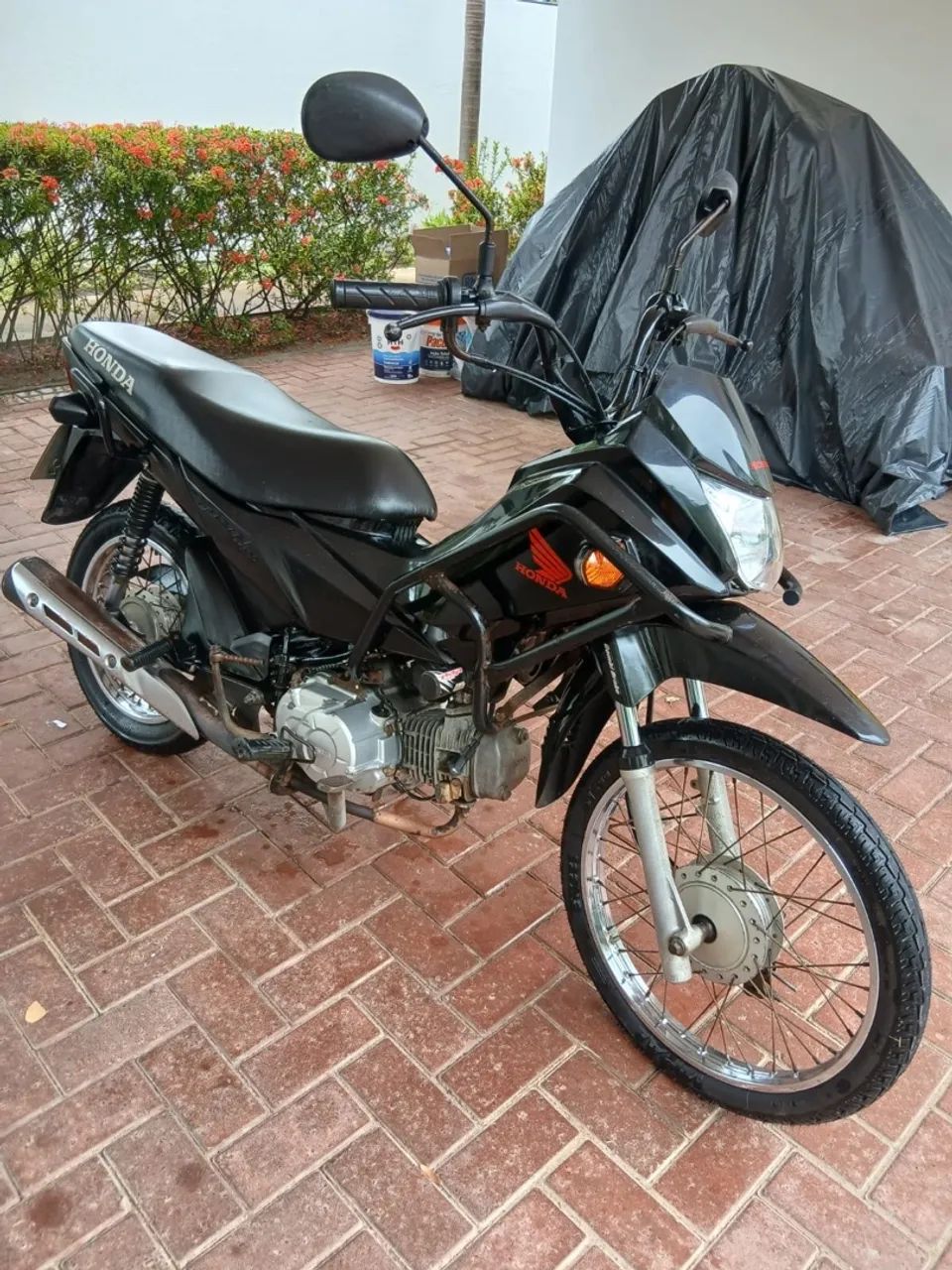 Honda PoP 100