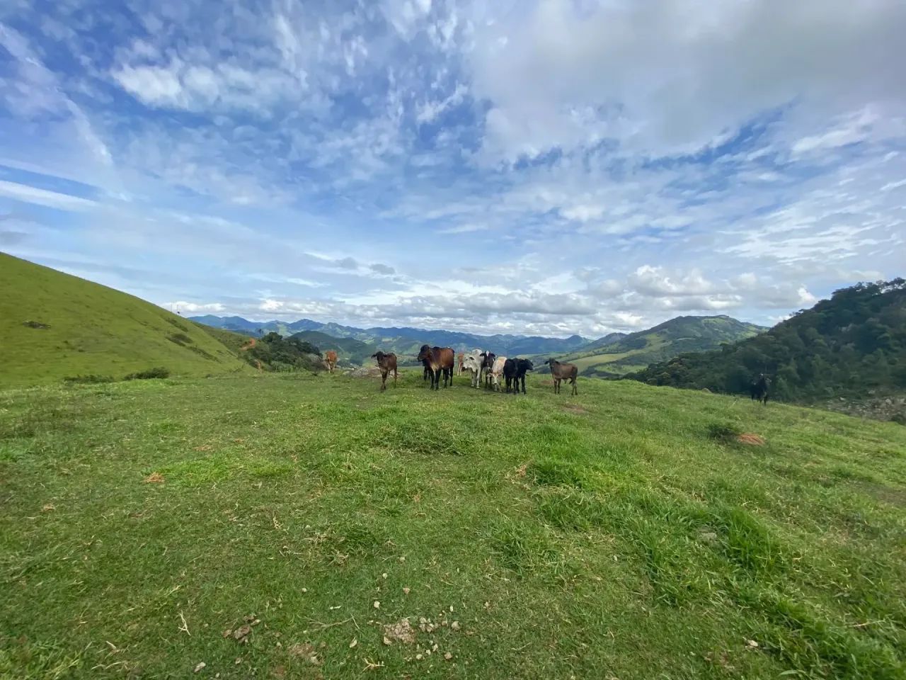 Terreno com 24.200m em Paraisópolis - MG - Foto 5