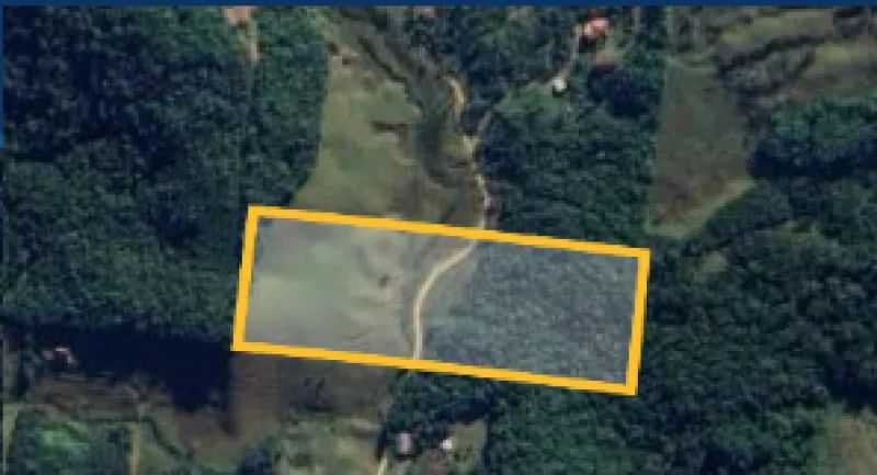 Terreno para Venda São Pedro de Alcântara - Foto 5