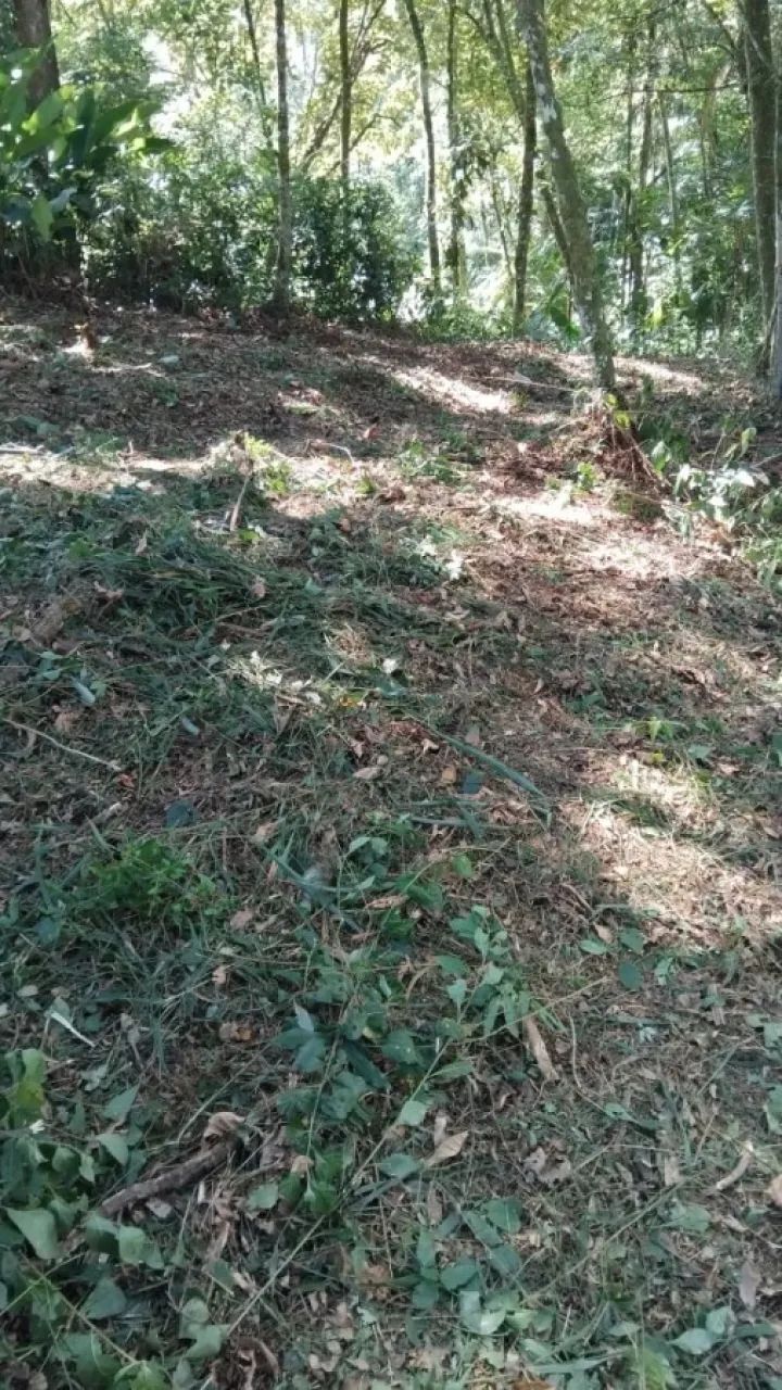 Terreno em São Sebastião, Palhoça/SC - Foto 3