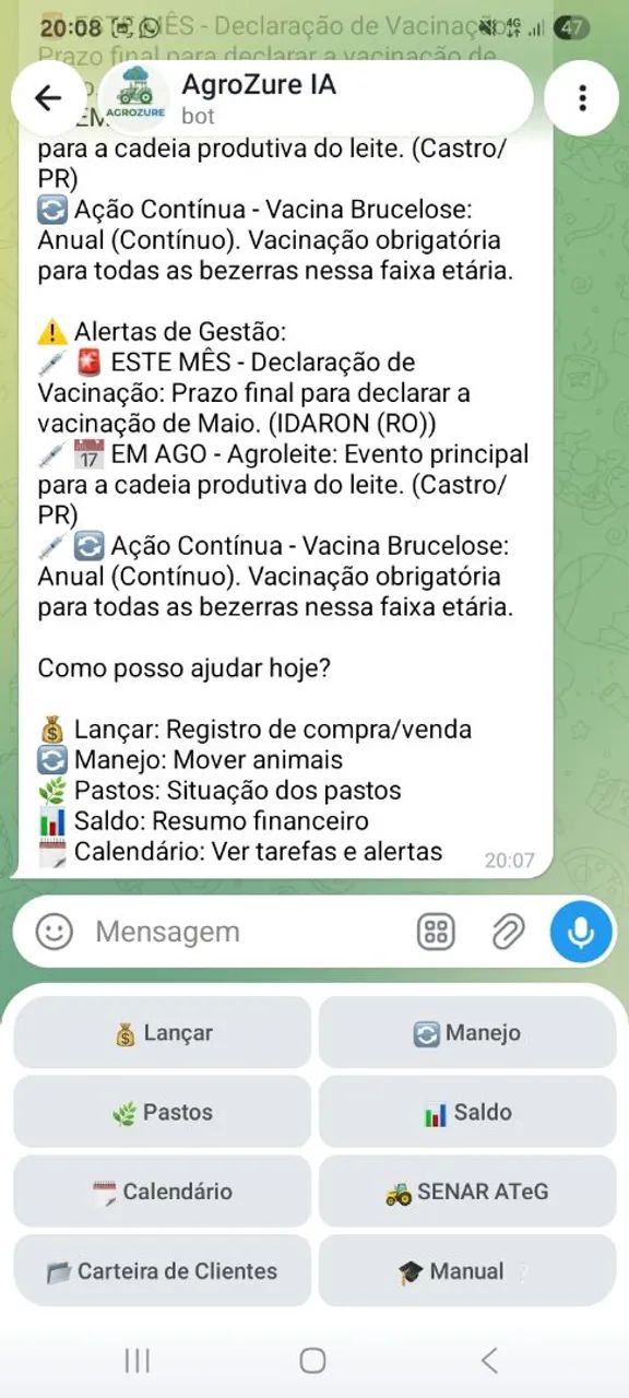 Desenvolvedor de Software & Automações | MVPs, Web Apps PWA e Scraping - Foto 3