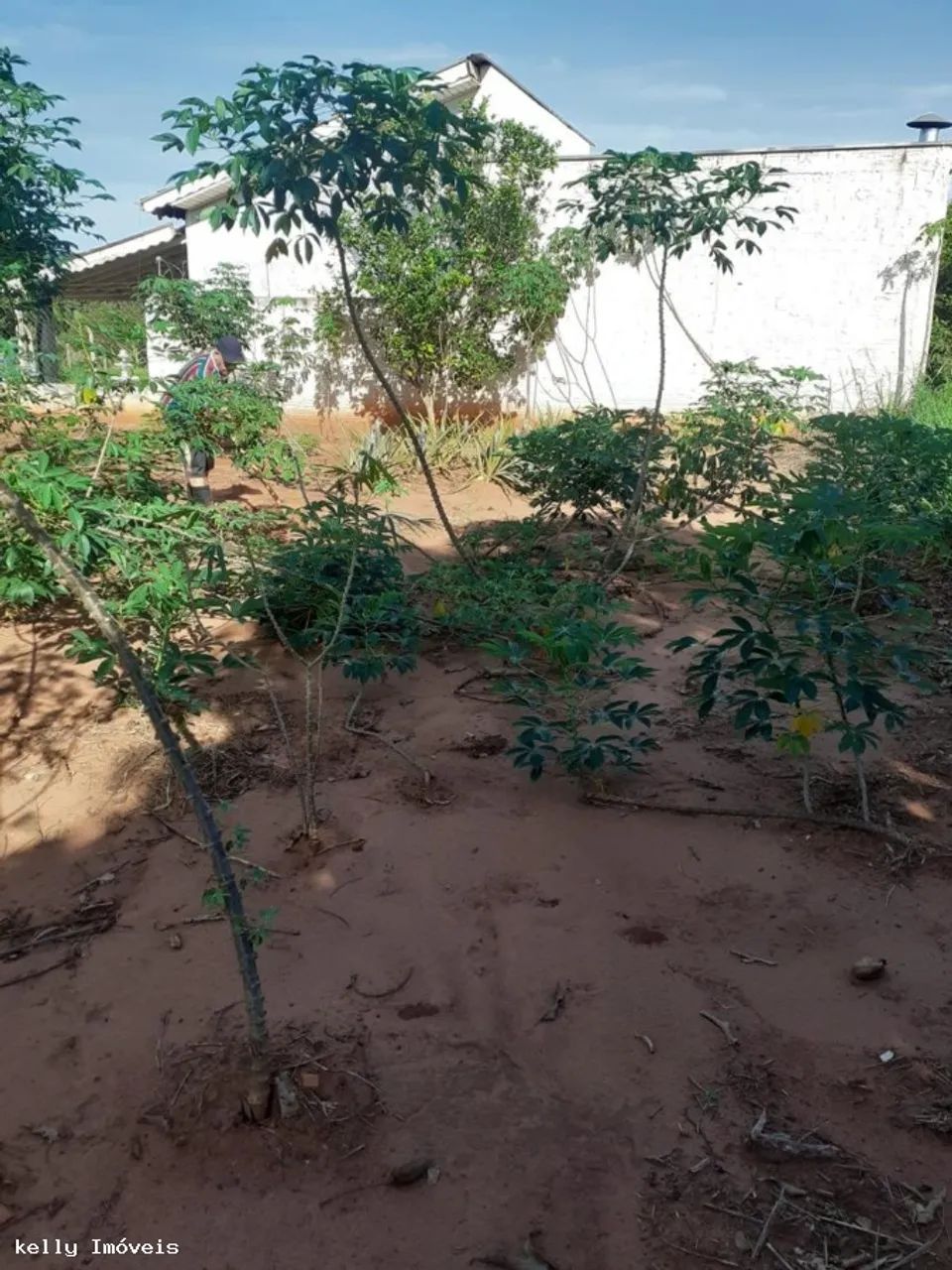 Chácara para Venda em Pirapozinho / SP no bairro Portal Do Paranapanema - Foto 4