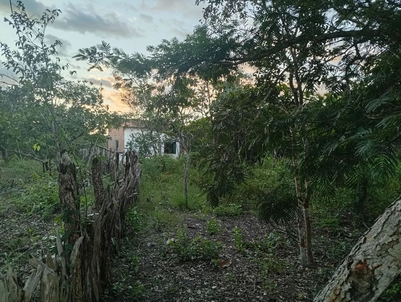 Vendo casa com terreno, de fundo para o rio!! - Foto 5