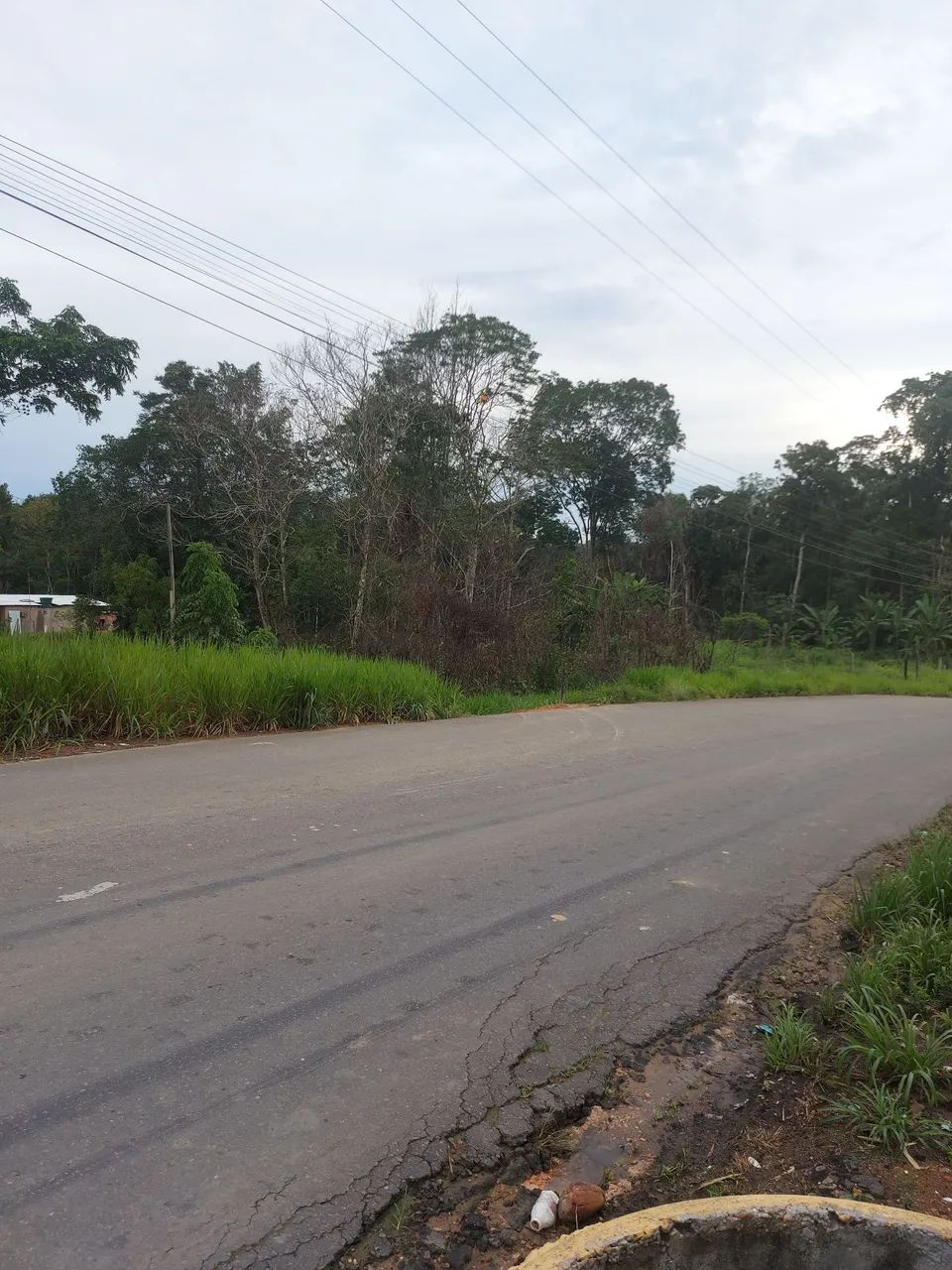 Foto - Manaus - Cidade Nova