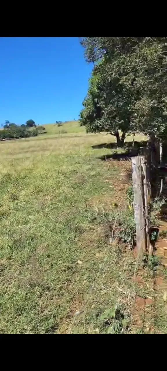 Fazenda ótima logística ,boi ,grãos etc - Foto 4
