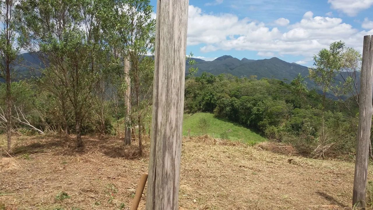 VENDO - Foto 3