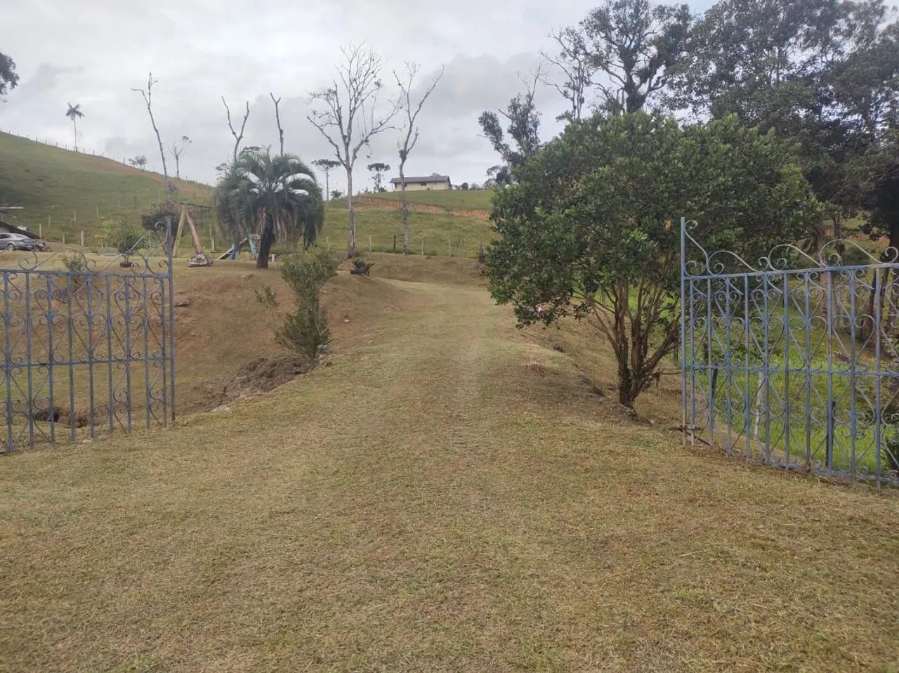 Sítio à venda em São Pedro de Alcantara - Foto 2