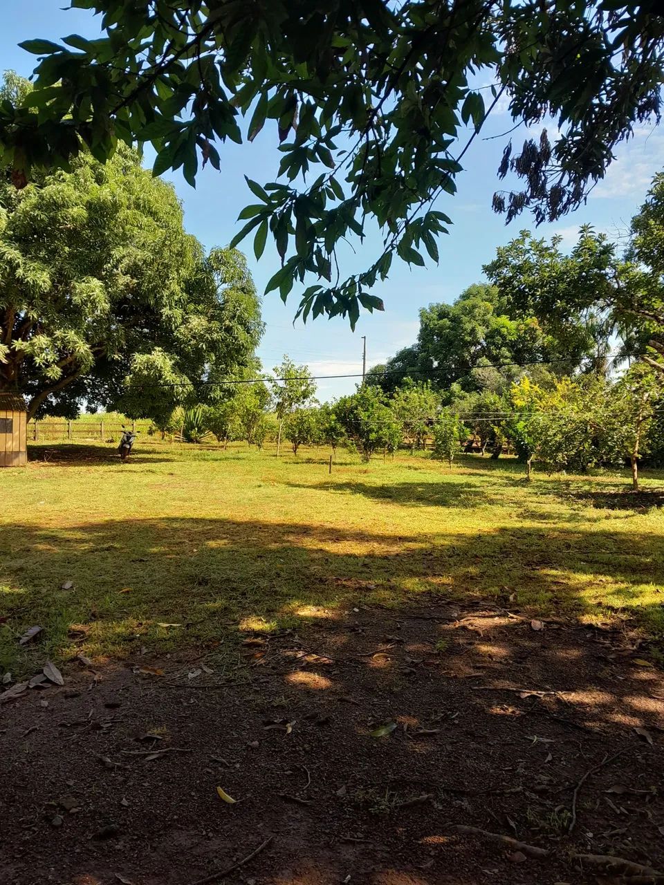 Vendo um terreno  - Foto 4