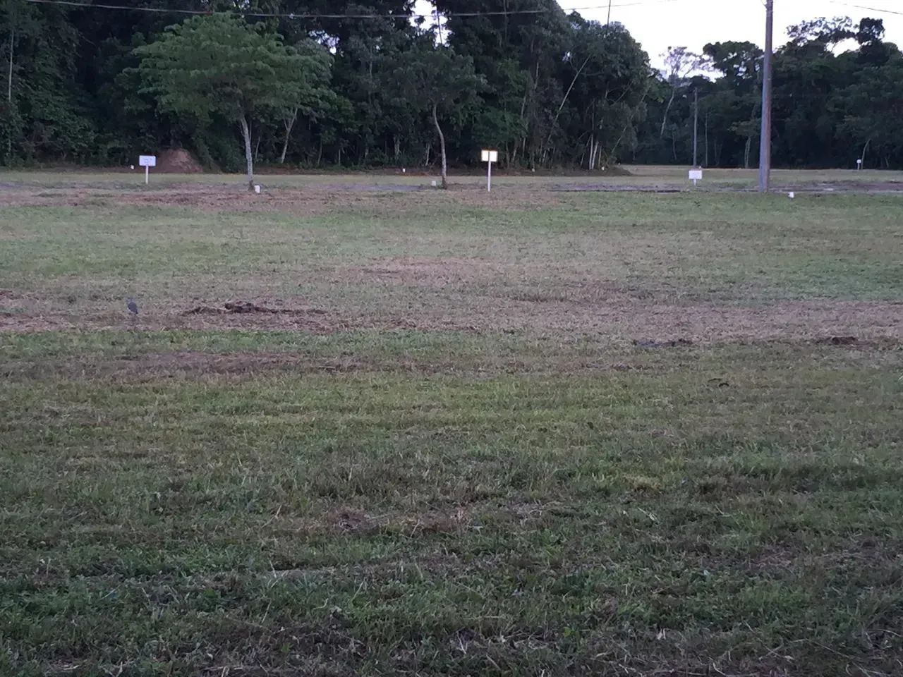 Lote/Terreno para venda possui 1000 metros quadrados em Riviera - Bertioga - São Paulo - Foto 9