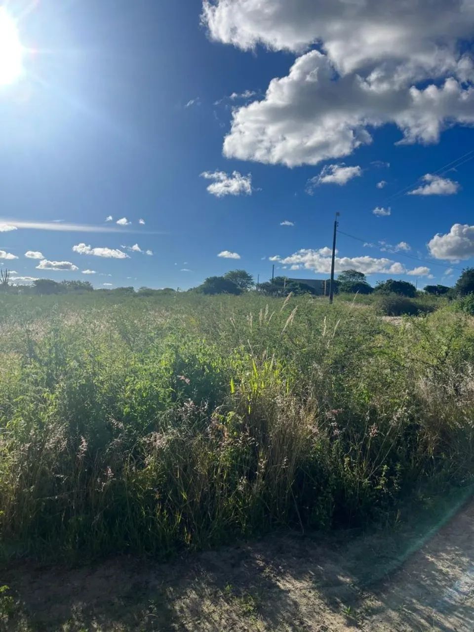 Vende-se sítio  - Foto 5