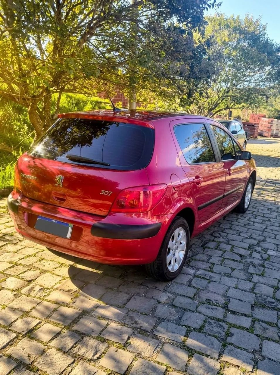 Peugeot 307 307 Passion 1.6 16V 110cv 5p 2002