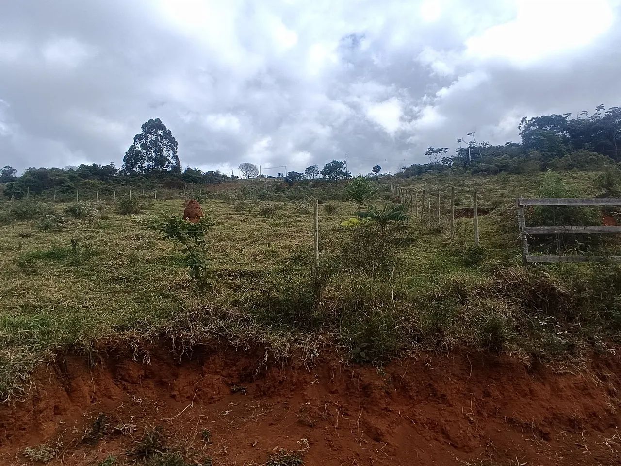 Granja Em Ewbank da Câmara. - Foto 3