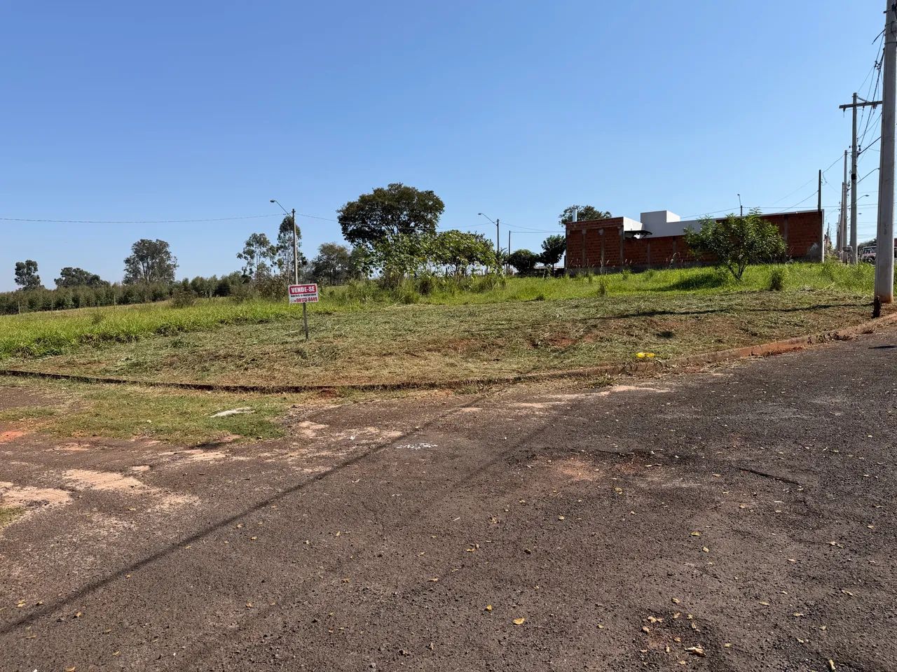 Terreno Arealva  - Foto 2