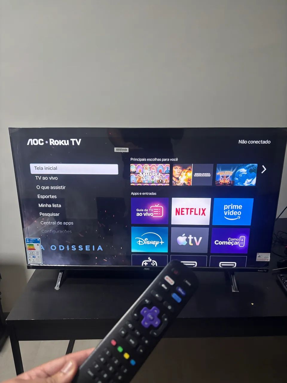 Smart TV 43 Polegadas AOC Sistema Roku | Nova no plástico 