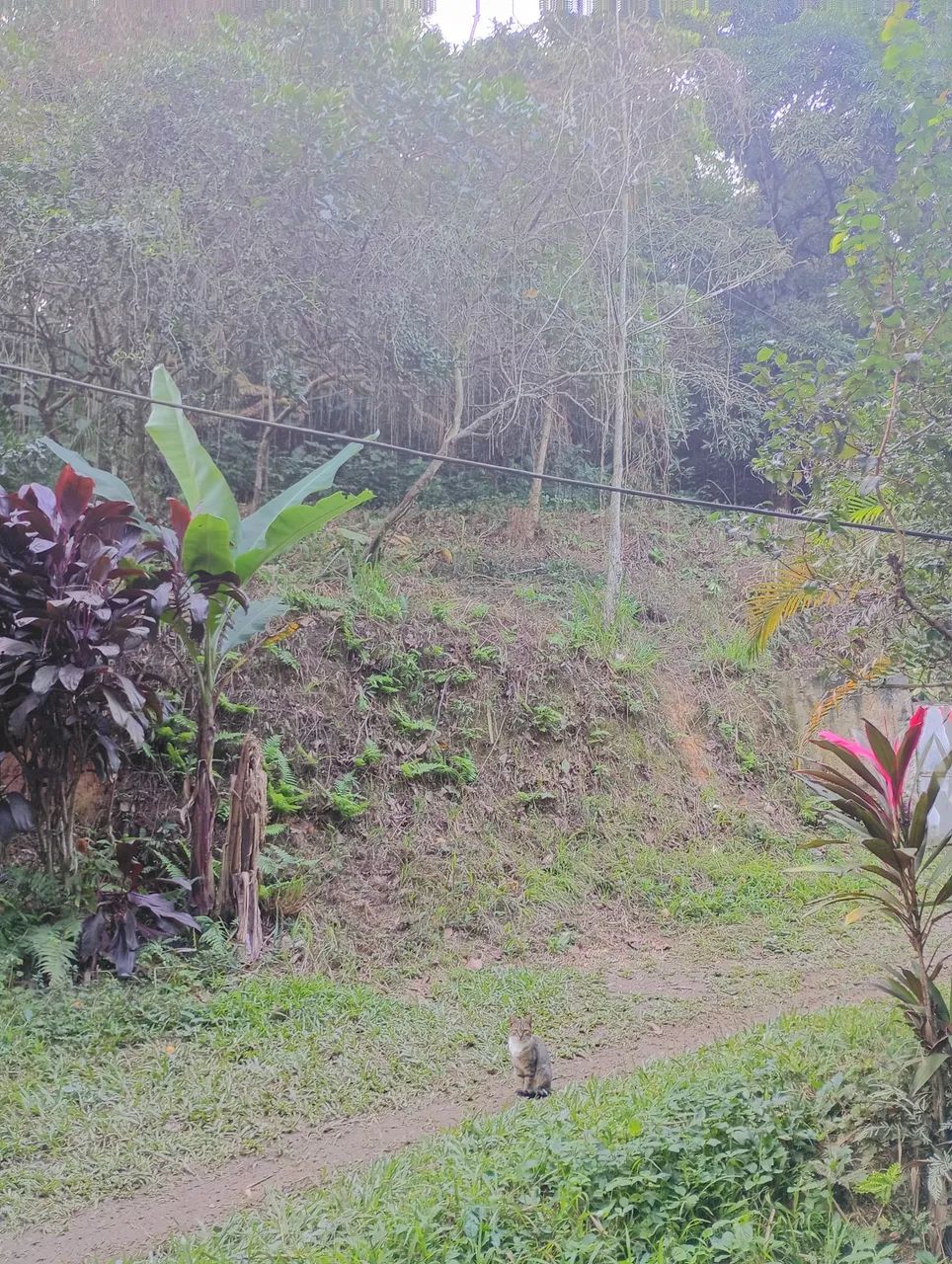 Lindo terreno a 1 km da prefeitura de Magé 