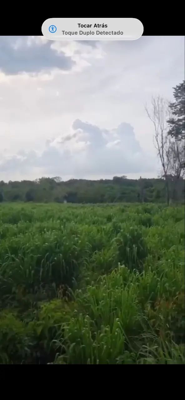Venda