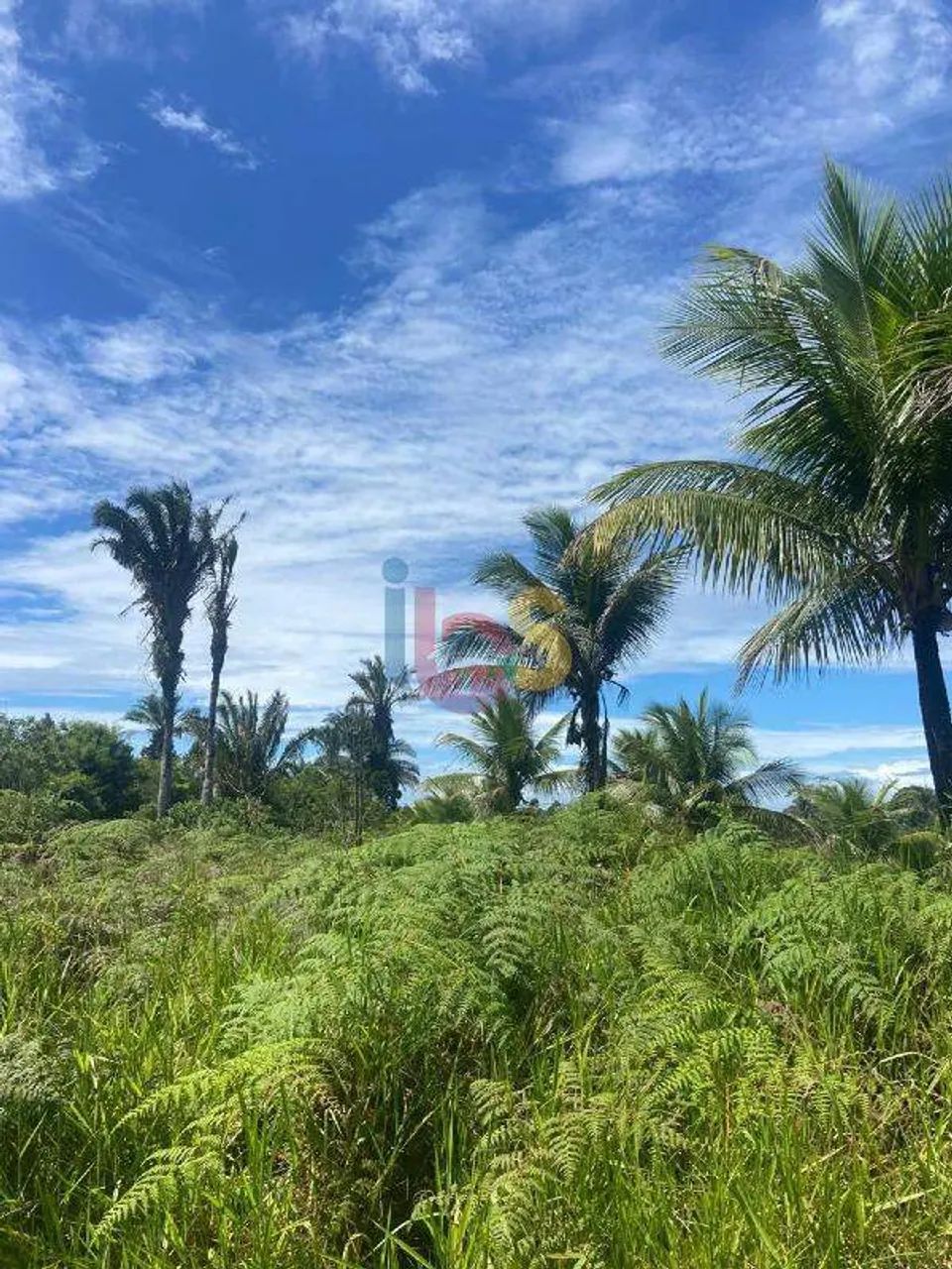 VENDO LOTE EM ÁREA RURAL - Foto 4
