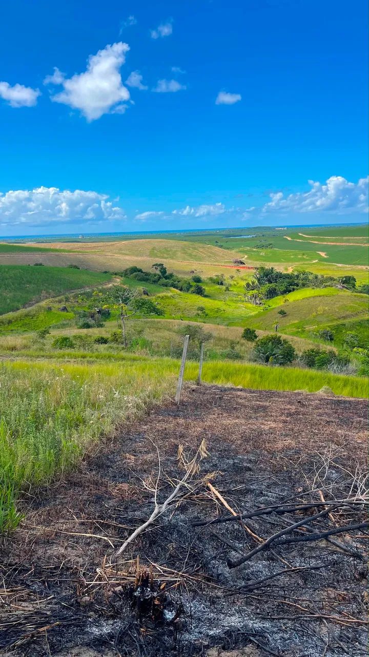 Oportunidade Terreno com 200m2 - Foto 4