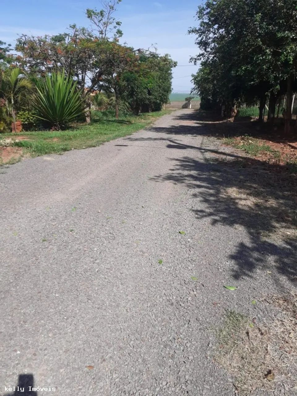 Chácara para Venda em Pirapozinho / SP no bairro Portal Do Paranapanema - Foto 2