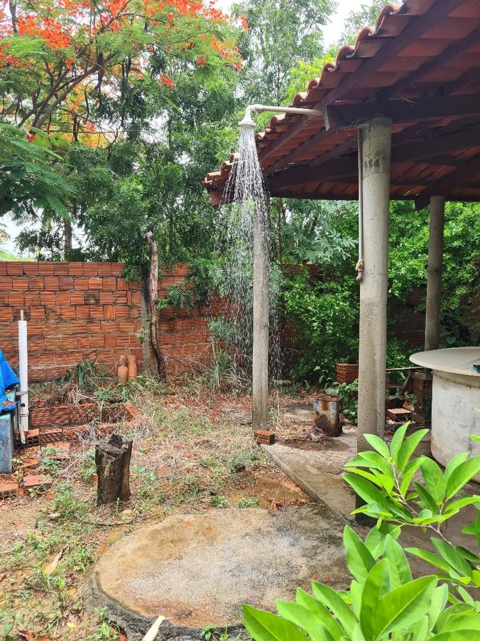  sítio com uma casa.no ceará o valor do imóvelprecisando se reforma.l - Foto 4