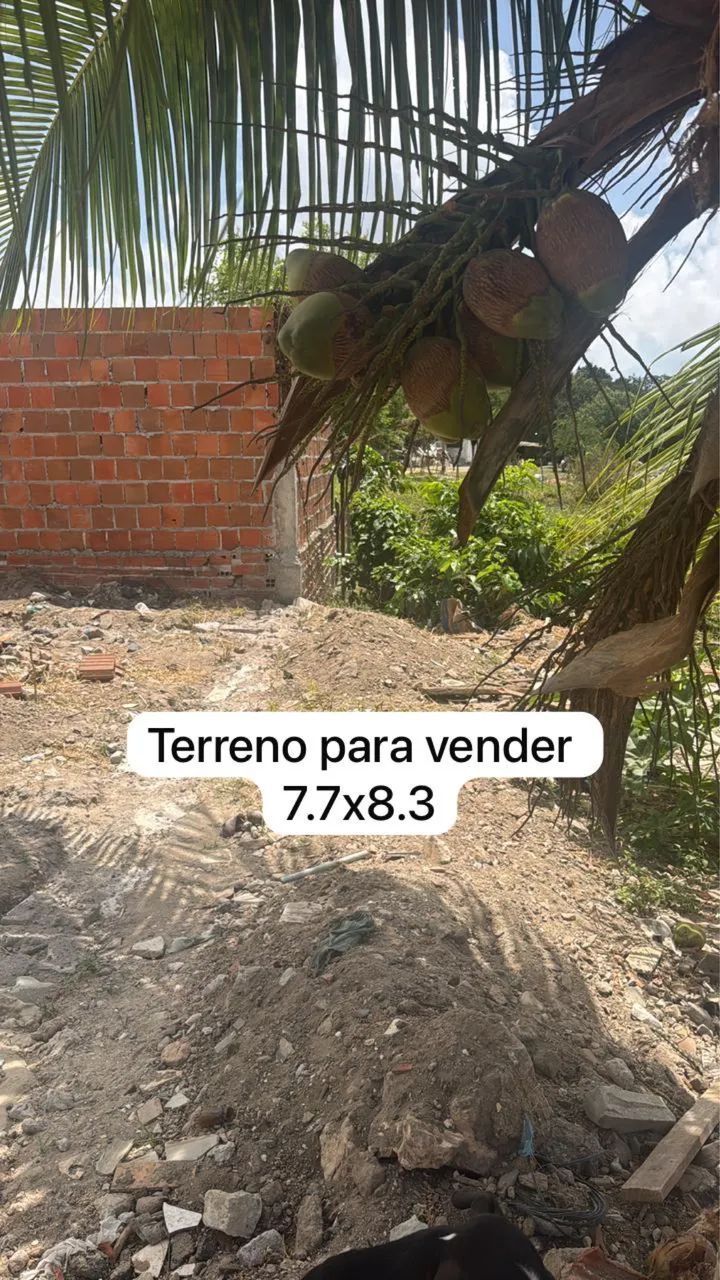Terreno na Sapiranga  - Foto 2