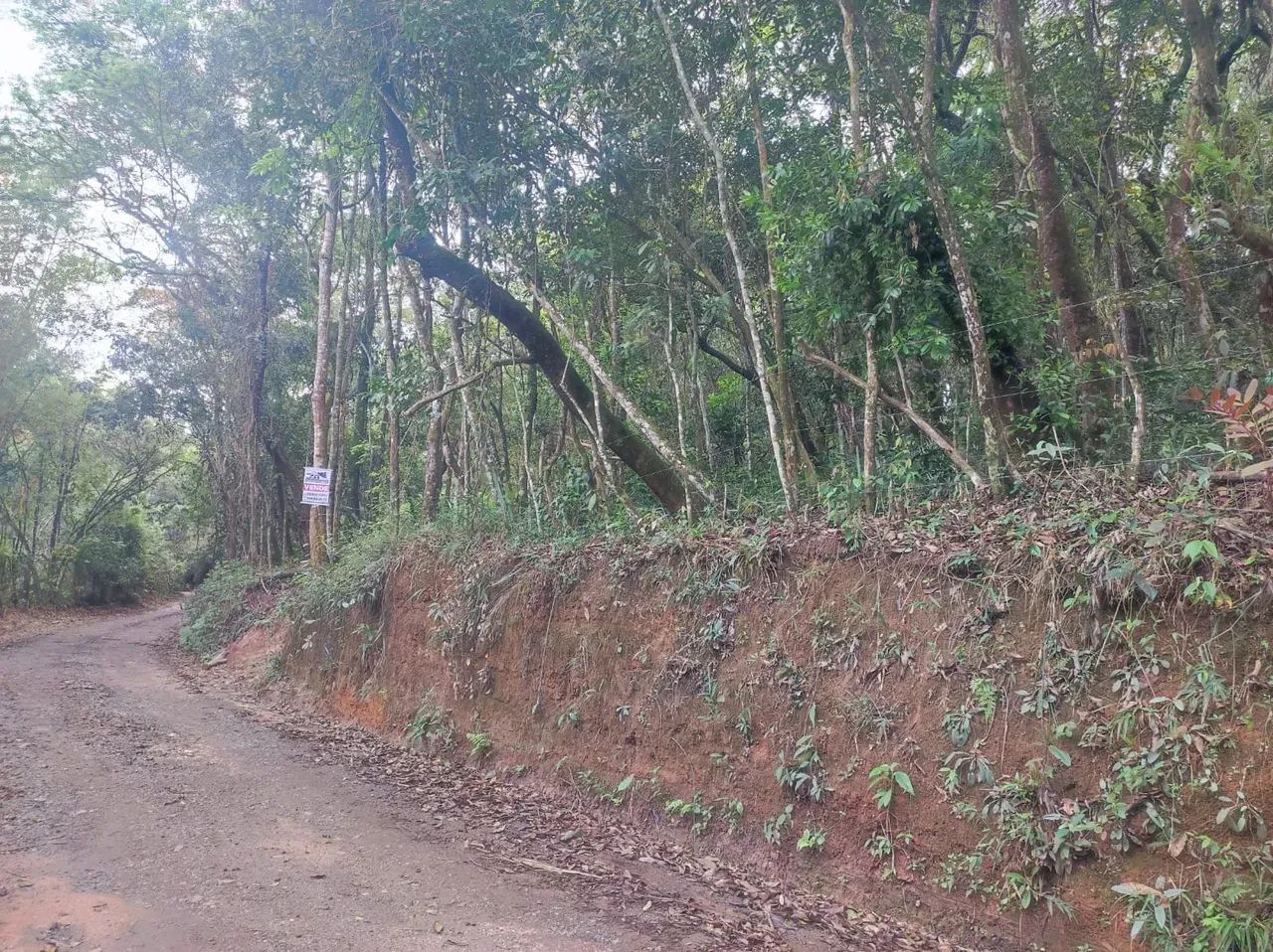 PIMENTAS - BETIM/MG. - Foto 4