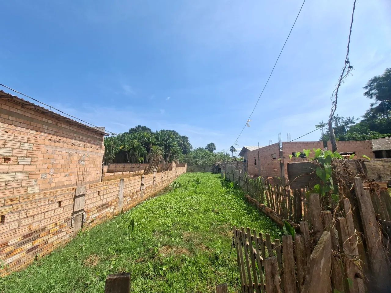Terreno - Foto 2
