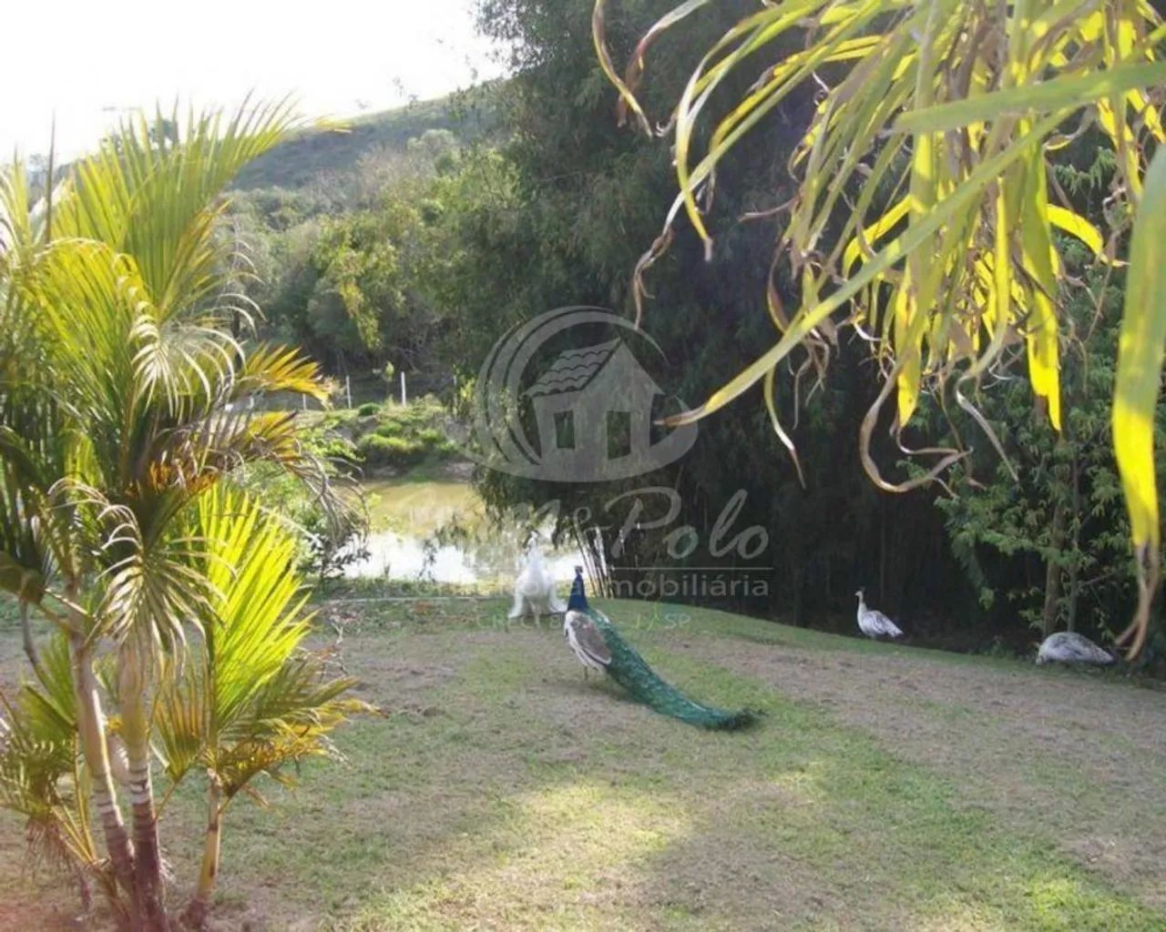 Sítio à venda em Guareí, Aristides da Costa Barros, com 6 quartos, com 12000 m² - Foto 2