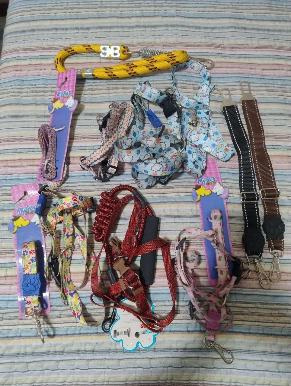 Peitorais para cães 8 produtos 