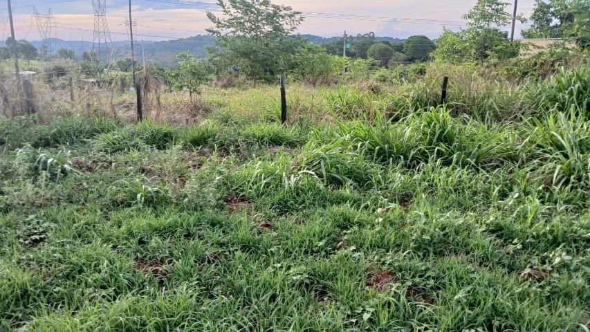 Chacara 1000mts² - Foto 5