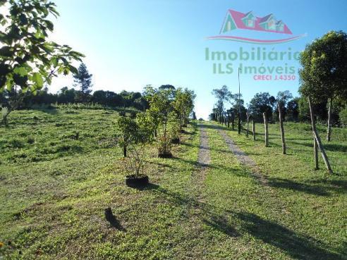 Chácara rural à venda, campo largo da roseira, são josé dos pinhais - ch0026. - Foto 9