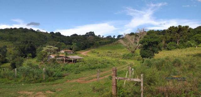 Fazenda à venda, 968000 m² por r$ 2.000.000,00 - fazenda velha - nova laranjeiras/pr - Foto 17